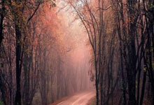 老公出轨，在天涯论坛上炸开了锅。这事儿闹得，简直是人间惨剧！