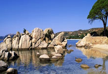 欢迎来到绿叶天涯社区！这里的绿叶让我感觉像在天堂。大家好啊，我是小明，去年搬进这个社区，人生超级大转变。